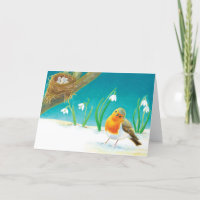 Red Robin Bird & Spring Snowdrops Illustration