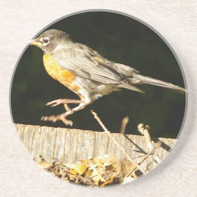Red Robin Bobbin Untersetzer (Vorne)