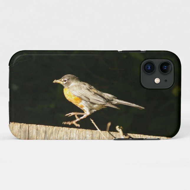 Red Robin Case-Mate iPhone Hülle (Rückseite (Horizontal))