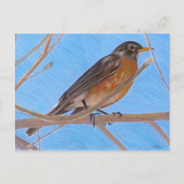 Red Robin Fine Art Nature Postcard Postkarte (Vorderseite)
