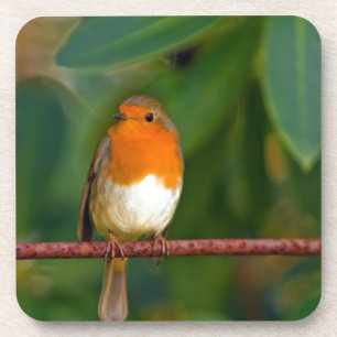 Red ROBIN Getränkeuntersetzer