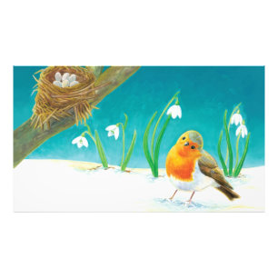 Red Robin Illustration Fotodruck