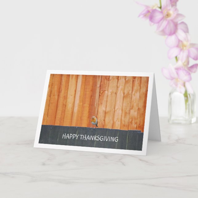 Red Robin on Fence Karte (Orchidee)