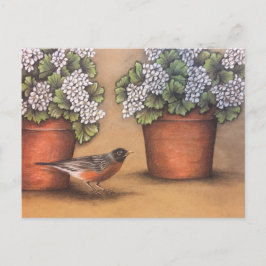 Red Robin und White Geraniums Postkarte