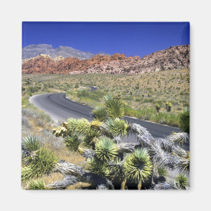 Red Rock Canyon National Conservation Area, Las Magnet
