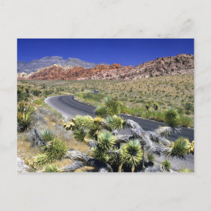 Red Rock Canyon National Conservation Area, Las Postkarte