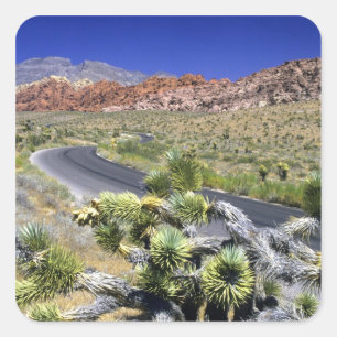 Red Rock Canyon National Conservation Area, Las Quadratischer Aufkleber