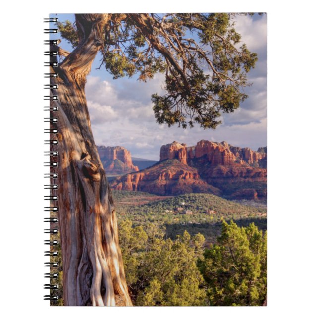 Red Rock | Sedona Arizona Notizblock (Vorderseite)