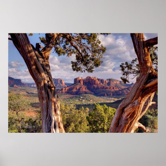 Red Rock | Sedona Arizona Poster (Vorne)