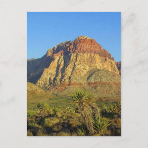 Red Rocks, Las Vegas Landscape Postcard Postkarte