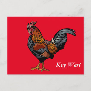 Red Rooster Key West Post Card Postkarte