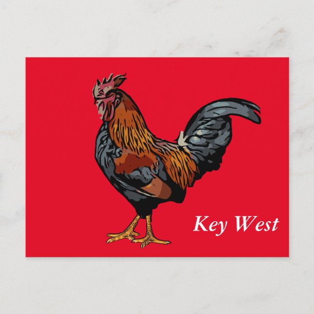 Red Rooster Key West Post Card Postkarte (Vorderseite)