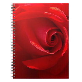Red-Rose-3.jpg Notizblock