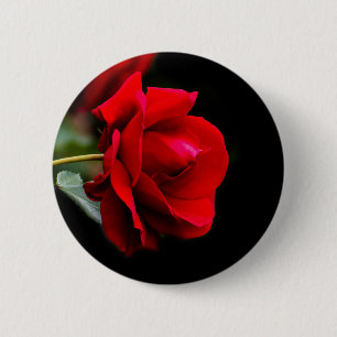 Red Rose Button