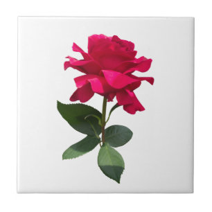 Red Rose Fliese