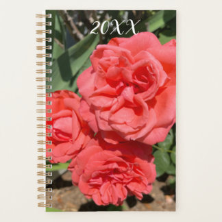 Red Rose Flower Cluster In Garden Photograph Planer
