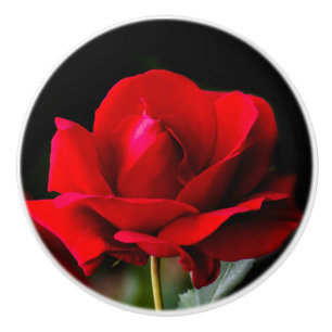 Red Rose Keramikknauf
