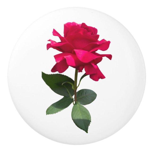 Red Rose Keramikknauf (Vorderseite)