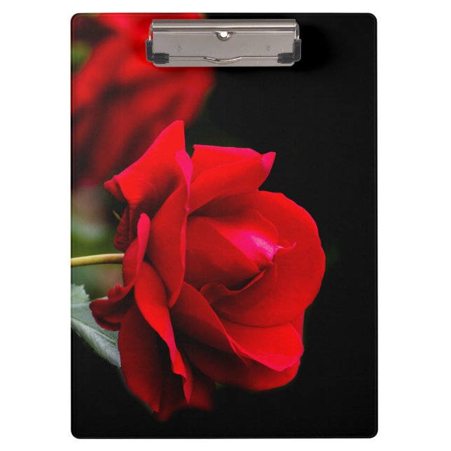 Red Rose Klemmbrett (Vorderseite)