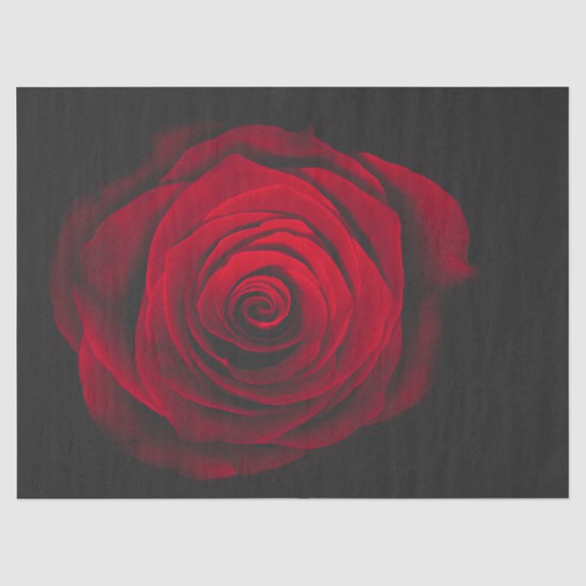 Red rose on black background vintage effect seidenpapier (Vorderseite)