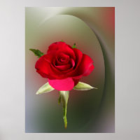 Red Rose