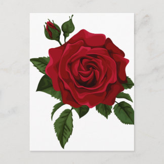 Red Rose Postkarte