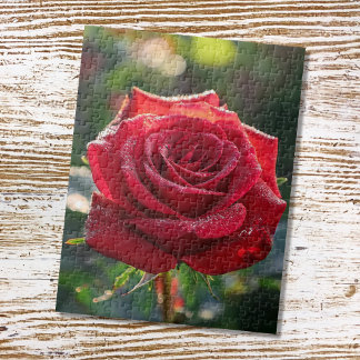 Red Rose Puzzle
