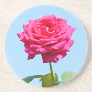 Red Rose Sandstein Untersetzer