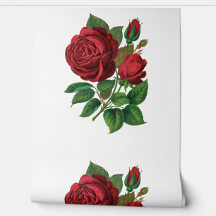 Red Rose Tapete