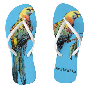 Red Rosella Australian Bird Birds Aquamarin Blue T Flip Flops