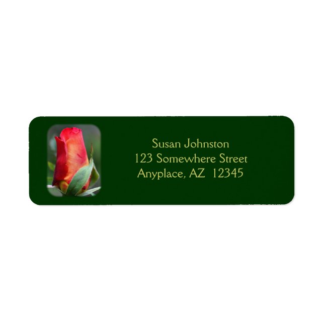 Red Rosenknospe Blume Address Label (Vorne)