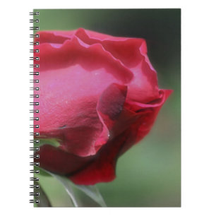 Red Rosenknospe Blume Nature Notizblock