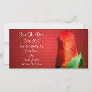 Red Rosenknospe Blume Wedding Save the Date