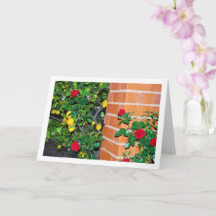 Red Roses and Lemons Karte