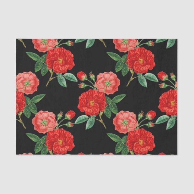 Red Roses, Black Background, Seidenpapier (Vorderseite)