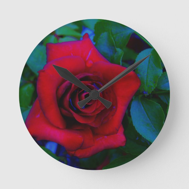 Red Roses with blue tones Runde Wanduhr (Vorderseite)