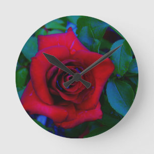 Red Roses with blue tones Runde Wanduhr