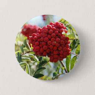 Red Rowan Berries Button