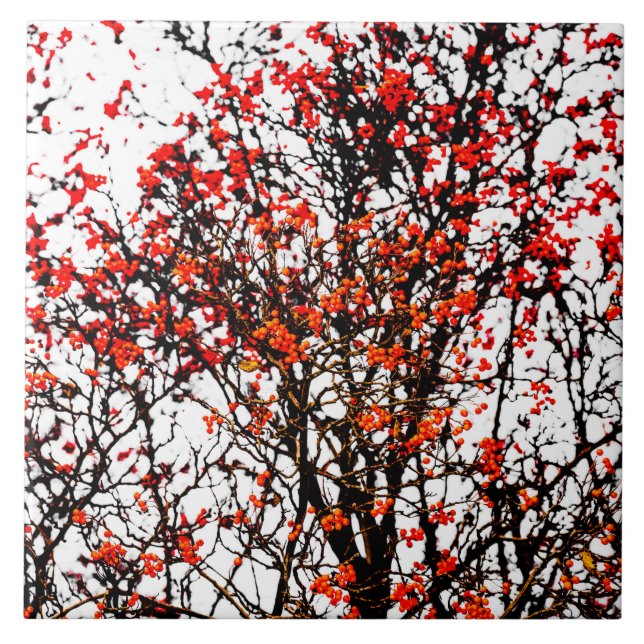 Red rowan fruit or ash berries fliese (Vorderseite)