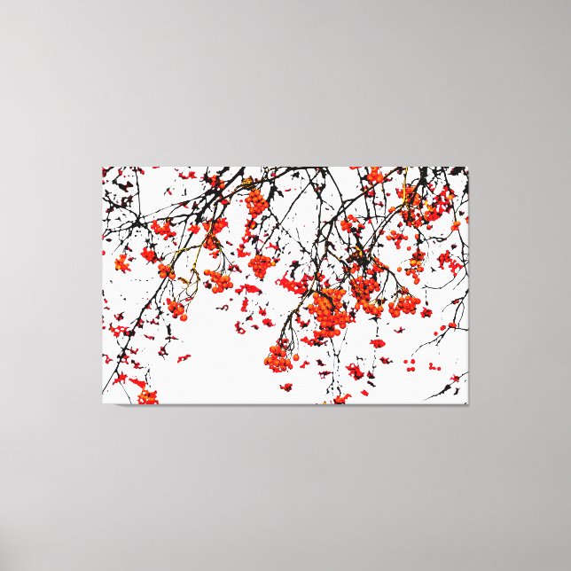 Red rowan fruit or ash berries leinwanddruck (Vorderseite)