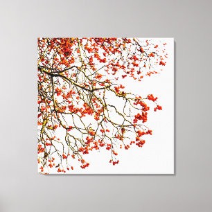 Red rowan fruit or ash berries leinwanddruck