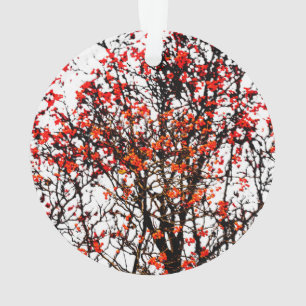 Red rowan fruit or ash berries ornament