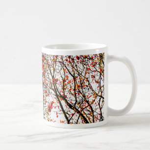 Red rowan fruit or ash berries tasse