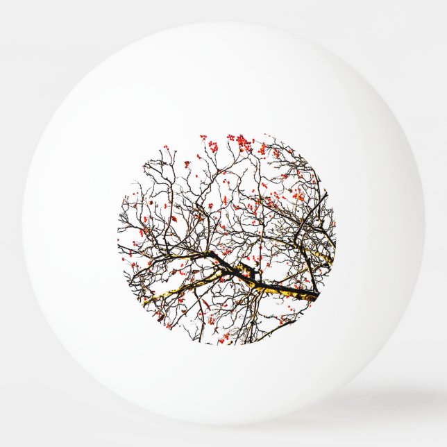 Red rowan fruit or ash berries tischtennisball (Vorderseite)