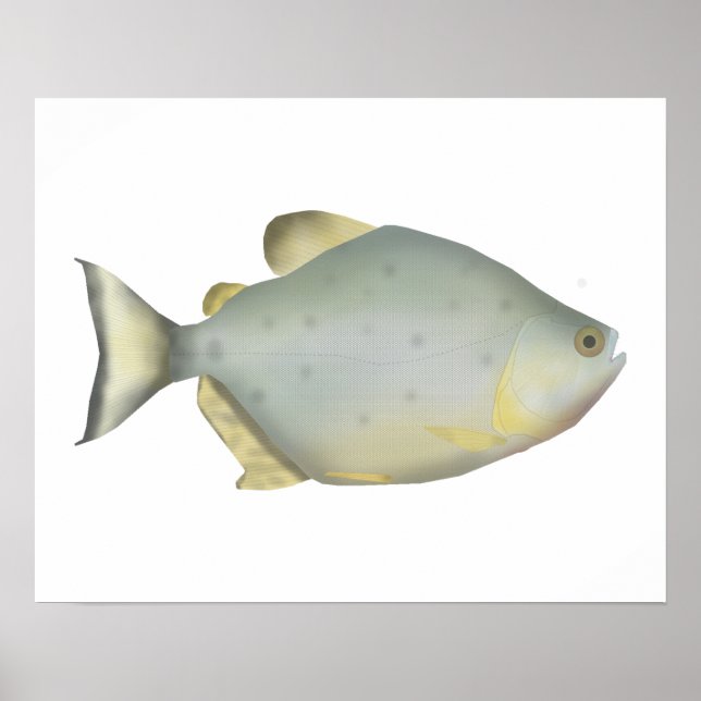 Red Ruby Piranha Poster (Vorne)