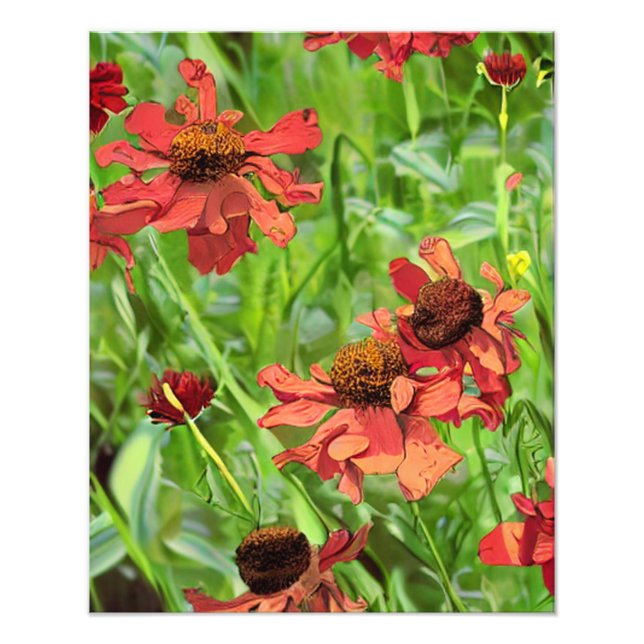 RED RUDBECKIA FLOWERS FOTODRUCK (Vorne)