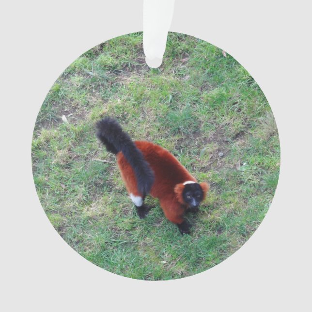 Red Ruffed Lemur #1-1 Ornament (Vorderseite)