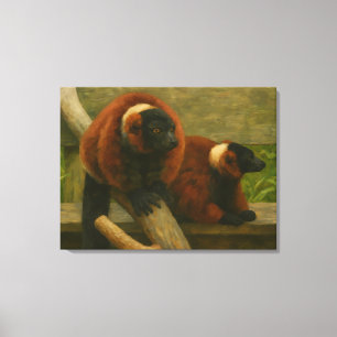 Red Ruffed Lemurs in Woodland Light Leinwanddruck