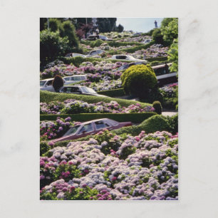 Red San Francisco, California Blume Postkarte