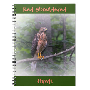 Red Schulter Hawk Notizblock